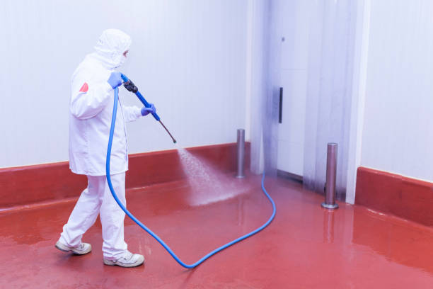 Best Soft Washing  in Marysville, PA